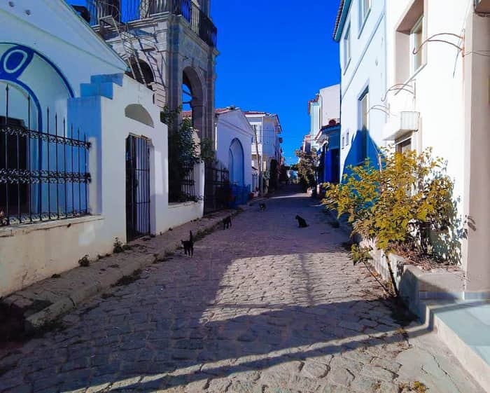 Bozcaada, Çanakkale — kare 7