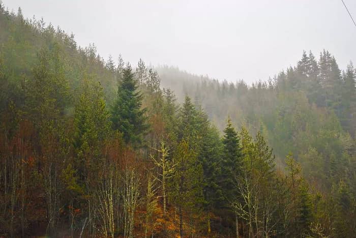 Abant Gölü, Bolu — kare 6