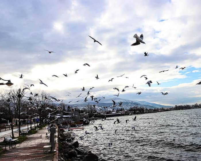 Sapanca, Sakarya — kare 6