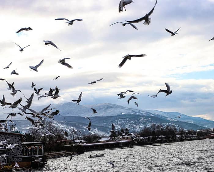 Sapanca, Sakarya — kare 7