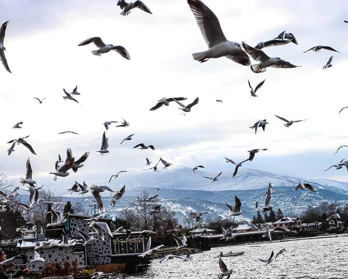 Sapanca, Sakarya — kare 8