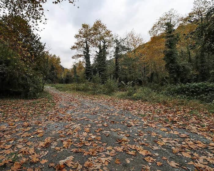Sapanca, Sakarya — kare 2