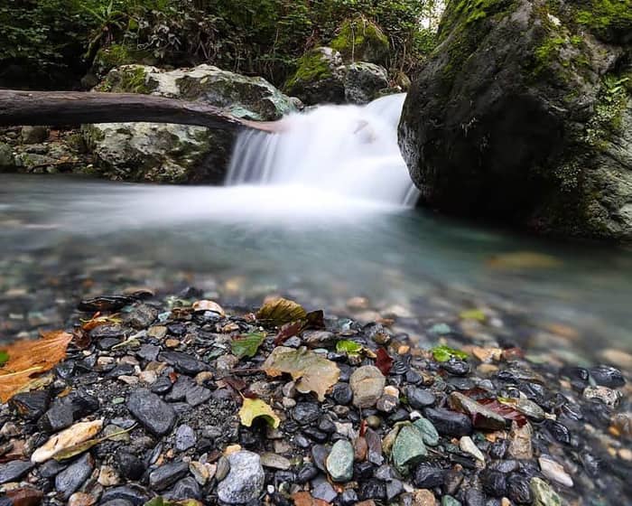 Sapanca, Sakarya — kare 4