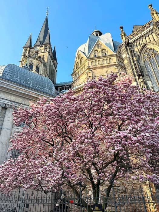 Aachen ve Monschau, Kuzey Ren-Vestfalya — kare 5