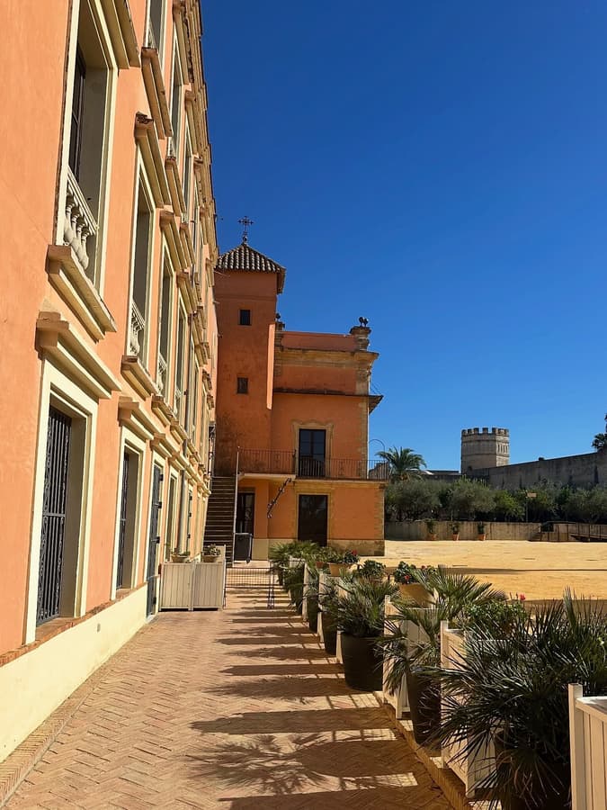 Jerez de la Frontera, Endülüs — kare 5